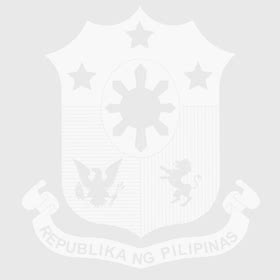 esre central application|DOF – BUREAU OF LOCAL GOVERNMENT FINANCE.